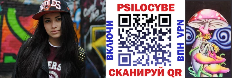 Псилоцибиновые грибы Psilocybe Луга